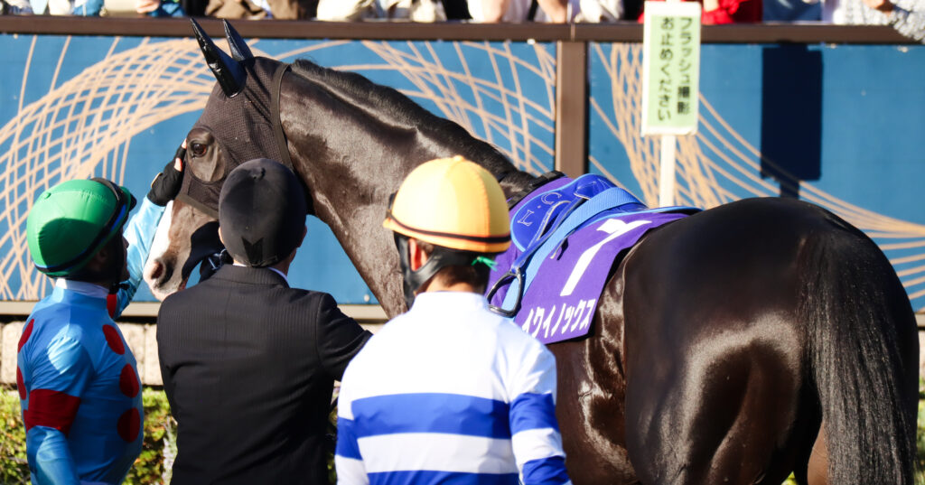 2023年10月29日東京競馬場・天皇賞（秋）のパドックで、騎乗前にイクイノックスの顔を優しくなでるクリストフ・ルメール騎手の姿