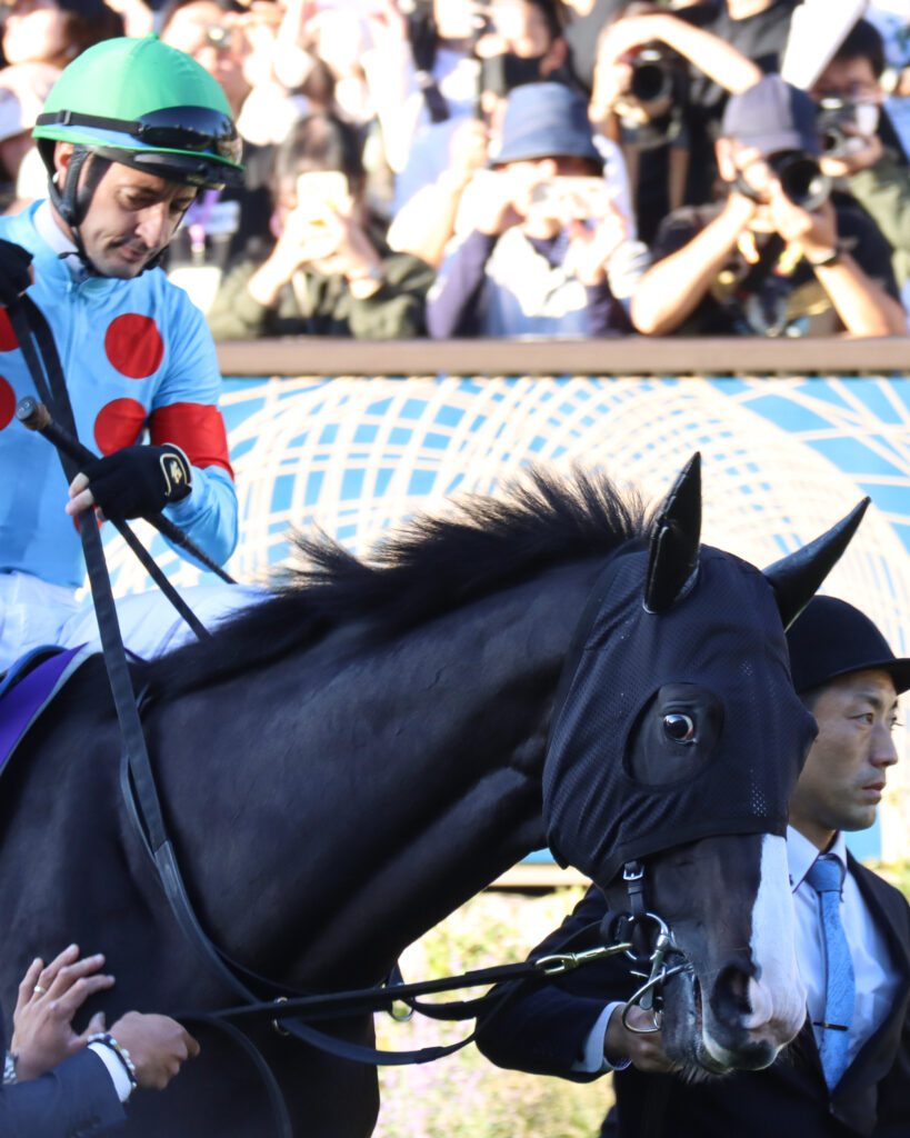 東京競馬場の天皇賞(秋)パドックで、ルメール騎手を背に少し茶目っ気を見せるイクイノックス
