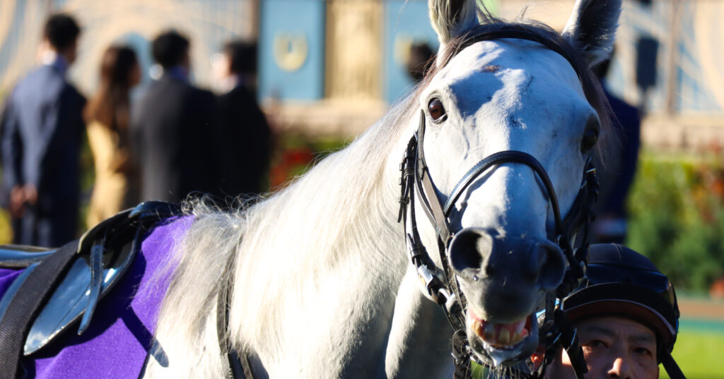 2023年10月29日東京競馬場・天皇賞（秋）のパドックで、シェケナなキメ顔を見せるガイアフォースの印象的な一枚