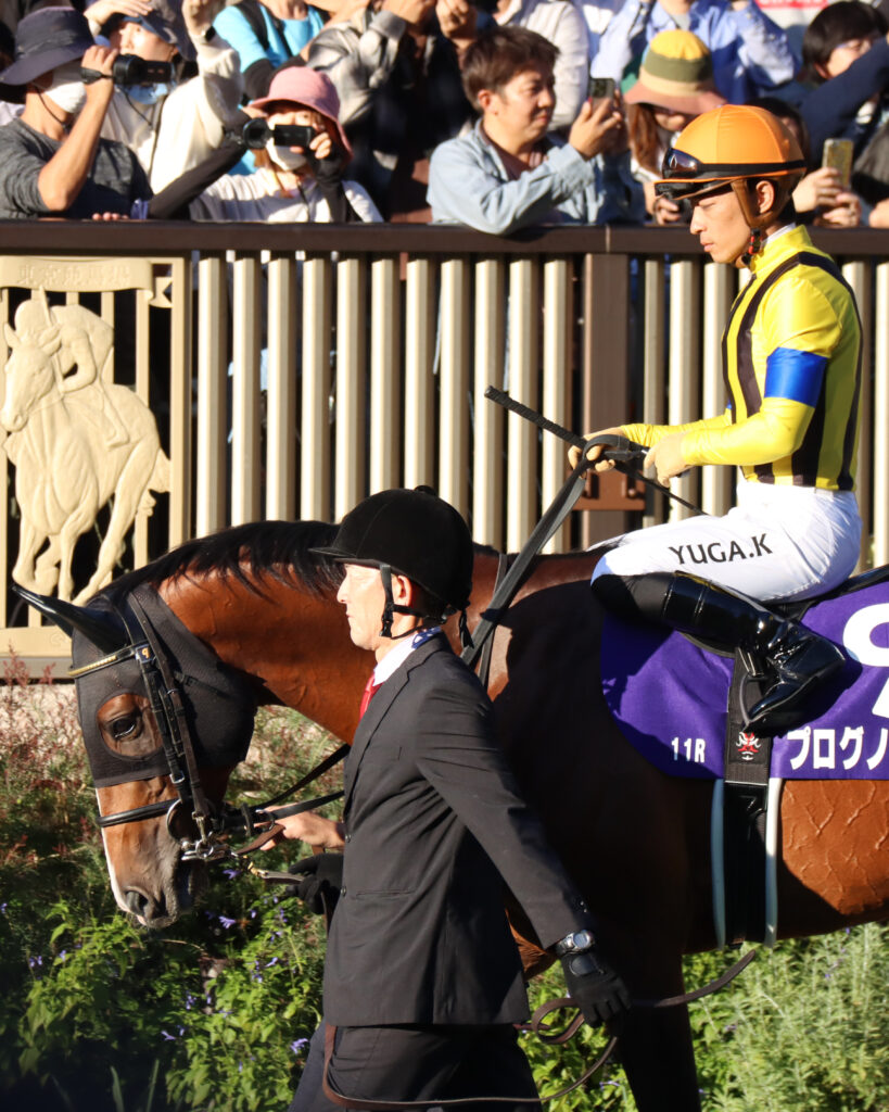 2023年10月29日東京競馬場・天皇賞（秋）のパドックで、堂々とした姿を見せるプログノーシスと川田将雅騎手