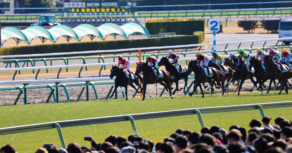 2024年12月28日、中山競馬場で行われたメイクデビュー中山2歳新馬のスタート直後。ゲートを飛び出した若駒たちが一団となって走り出す