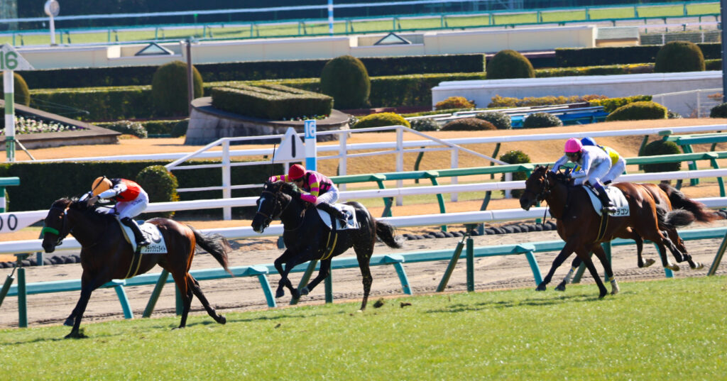 2024年12月28日中山競馬場・メイクデビュー中山2歳新馬の直線。先頭を行くブラックジェダイトを、ブライトメールとドラゴンが懸命に追い詰めるシーン
