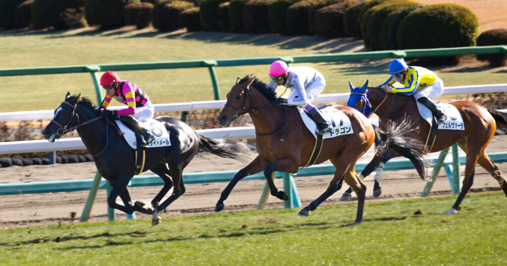 2024年12月28日中山競馬場・メイクデビュー中山2歳新馬の直線勝負。先頭を行くブライトメールに、ドラゴンとフェルヴァーラが猛追する迫力のシーン