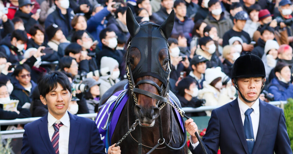 2024年ホープフルステークスのパドックで、厩舎関係者2人に引かれて歩くアマキヒ。気合い十分な様子が伝わる一枚