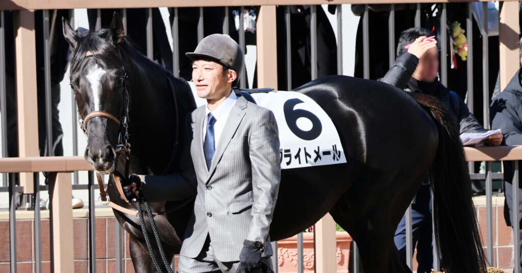 2024年12月28日中山競馬場・2歳新馬戦のパドックで落ち着いた様子を見せるブライトメールの写真
