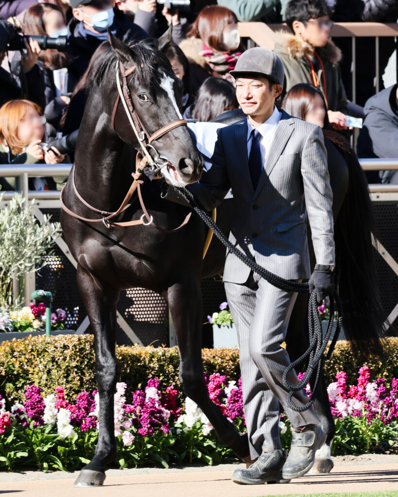 メイクデビュー前のパドックで、ブライトメールが見せた幼さの残る表情。期待と緊張が入り混じる姿が印象的