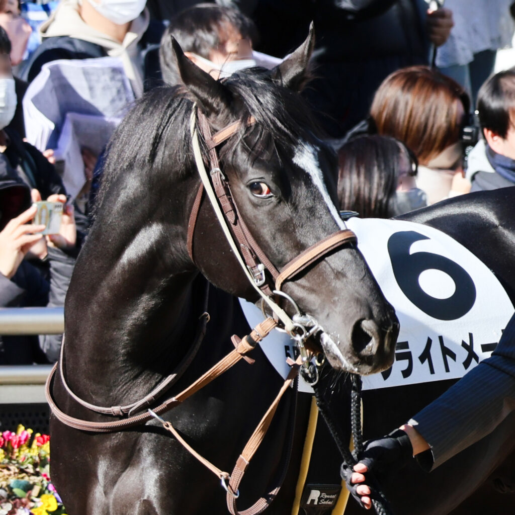 メイクデビュー前のパドックで、ブライトメールが見せた幼さの残る表情。期待と緊張が入り混じる姿が印象的