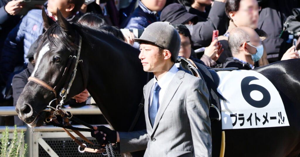 2024年12月28日中山競馬場・2歳新馬戦のパドックで落ち着いた様子を見せるブライトメールの写真