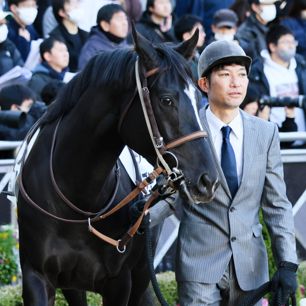 静かな落ち着きの中に闘志がにじむ眼差し――ブライトメール、デビュー戦前の一枚