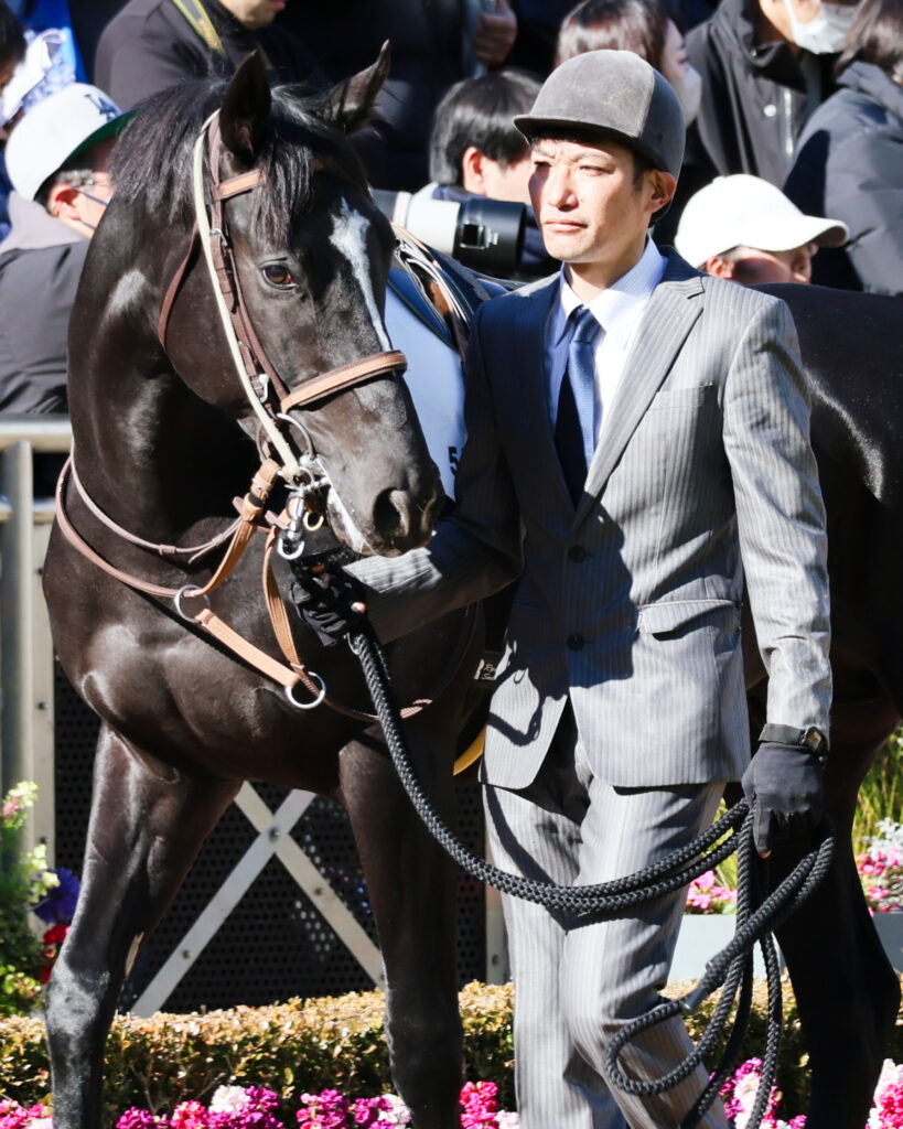 2024年12月28日中山競馬場・2歳新馬戦のパドックで落ち着いた様子を見せるブライトメールの写真