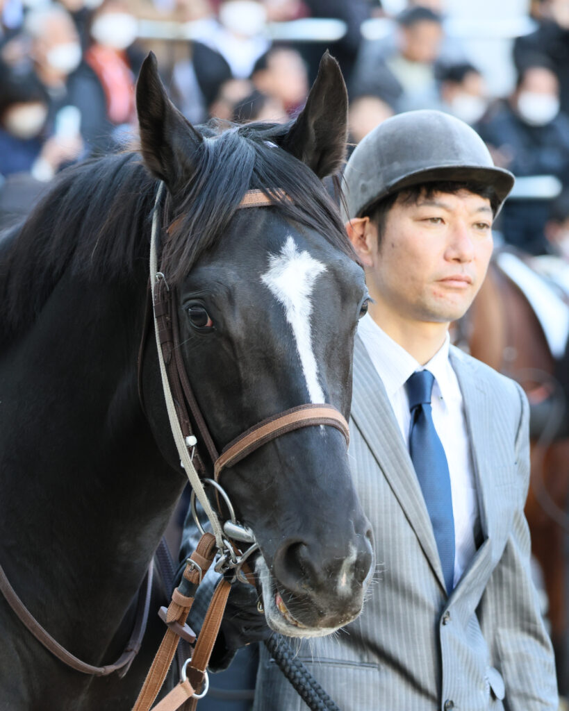 2024年12月28日中山競馬場の2歳新馬戦パドックで、厩舎関係者に引かれながらカメラ目線をくれるブライトメールの可愛らしい表情の写真