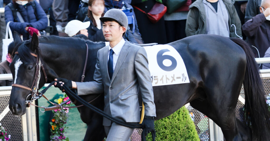 2024年12月28日中山競馬場・2歳新馬戦のパドックで落ち着いた様子を見せるブライトメールの写真
