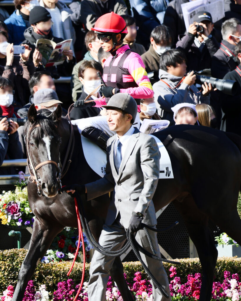 2024年12月28日中山競馬場・メイクデビュー新馬戦のパドックで、坂井瑠星騎手を背に歩くブライトメールの写真