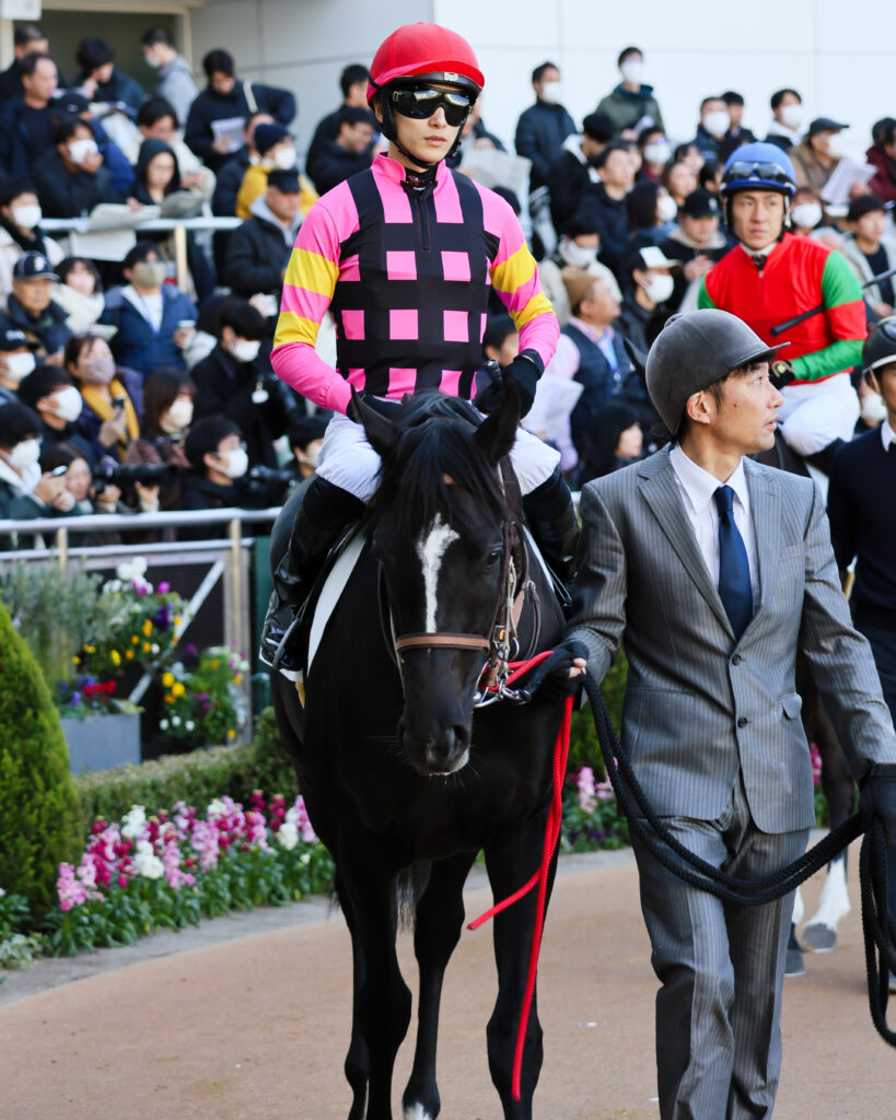 2024年12月28日中山競馬場・メイクデビュー新馬戦のパドックで、坂井瑠星騎手を背に歩くブライトメールの写真