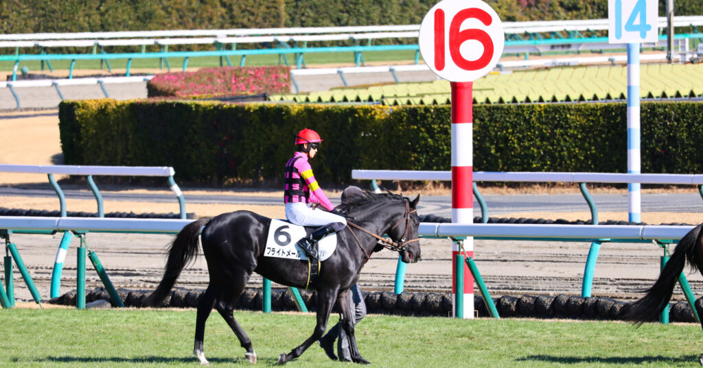 初出走の緊張感をまといながら、坂井瑠星騎手とともに本馬場に向かうブライトメール