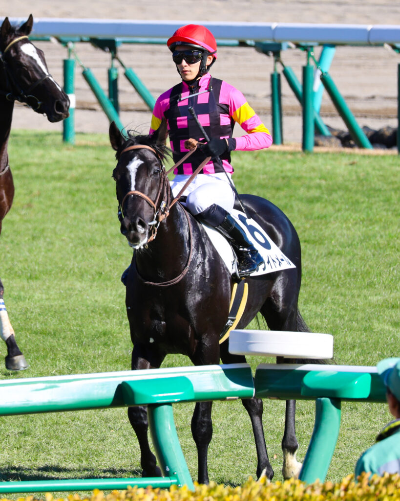初出走の緊張感をまといながら、坂井瑠星騎手とともに本馬場に向かうブライトメール
