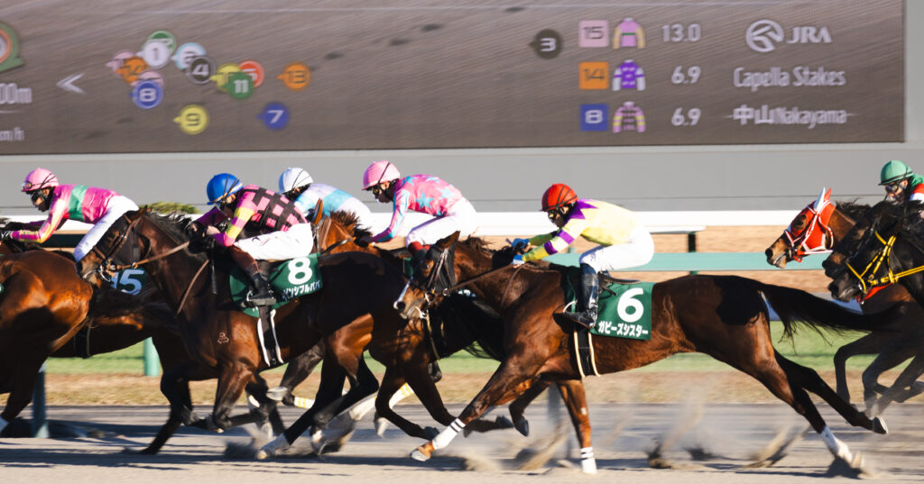 2024年12月8日中山競馬場・カペラステークスのゴール前、力強く伸びていくインビンシブルパパの迫力ある走り