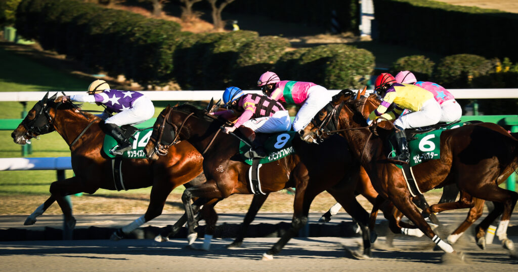 2024年12月8日中山競馬場・カペラステークスのゴール前、逃げるサンライズアムールを懸命に追うインビンシブルパパ