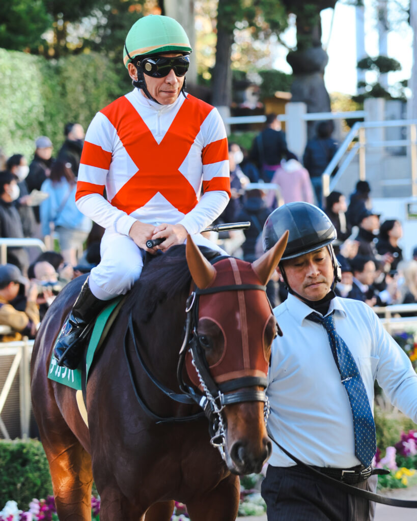 2024年12月8日中山競馬場・カペラステークスのパドックで、落ち着いた表情で周回するチカッパと横山典弘騎手