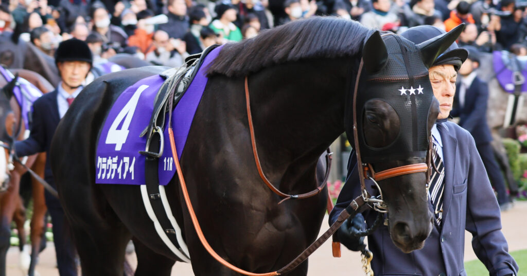 2024年ホープフルステークスのパドックで、厩舎関係者に引かれて歩くクラウディアイ。落ち着いた気配を見せる一枚