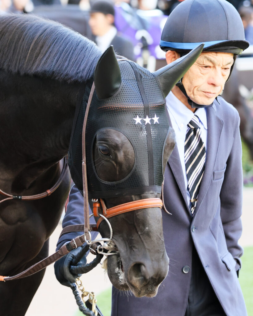 2024年ホープフルステークスのパドックで、厩舎関係者に引かれるクラウディアイの顔のアップ写真。