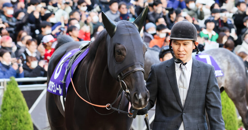 2024年ホープフルステークスのパドックで、厩舎関係者に引かれて落ち着いた様子で歩くクロワデュノールの姿