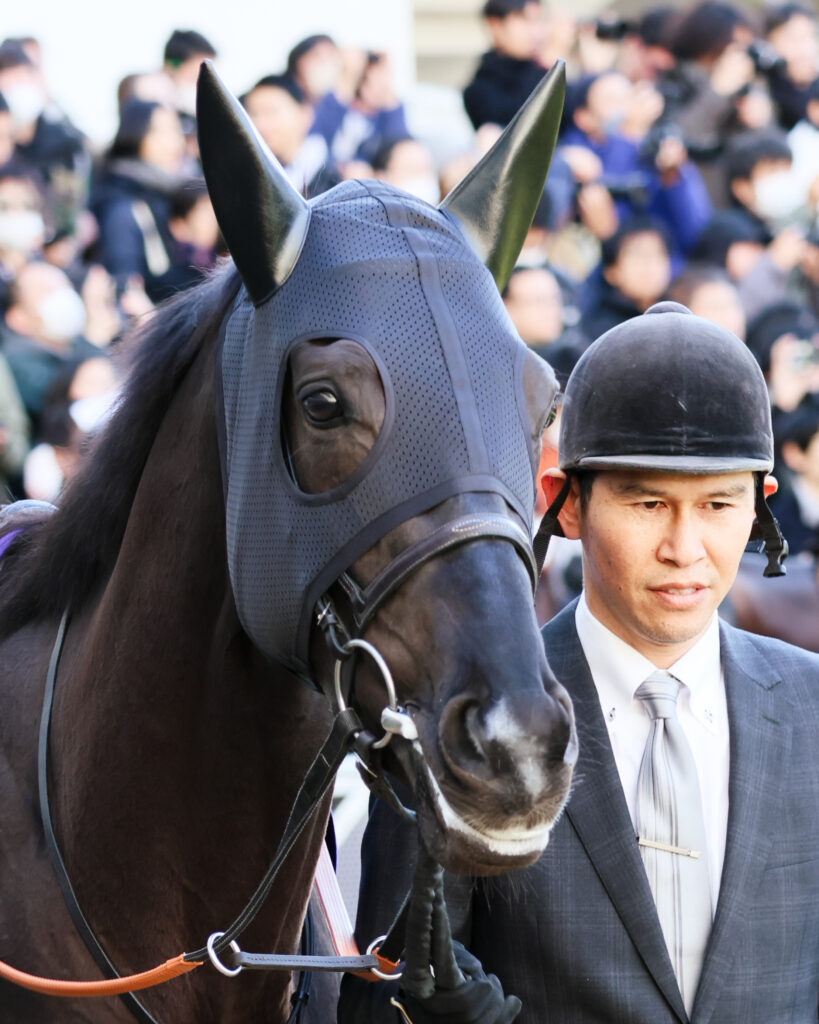 2024年ホープフルステークスのパドックで、厩舎関係者に引かれながら歩くクロワデュノールの顔のアップ写真。澄んだ瞳が印象的な一枚