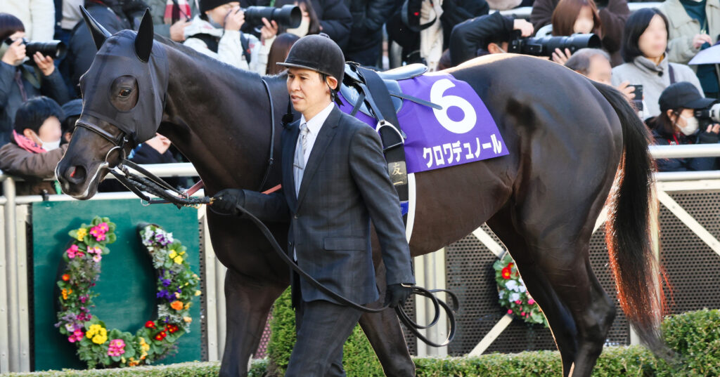 2024年ホープフルステークスのパドックで、厩舎関係者に引かれて落ち着いた様子で歩くクロワデュノールの姿