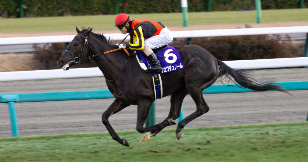 ホープフルステークスのレース前、返し馬に臨むクロワデュノールと北村友一騎手の一枚。落ち着いた気配の中に勝負の気迫が漂う