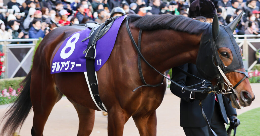 2024年 ホープフルステークス レガレイラ ポスター 2024ホープフルステークス ポスター｜日本サイン競馬会