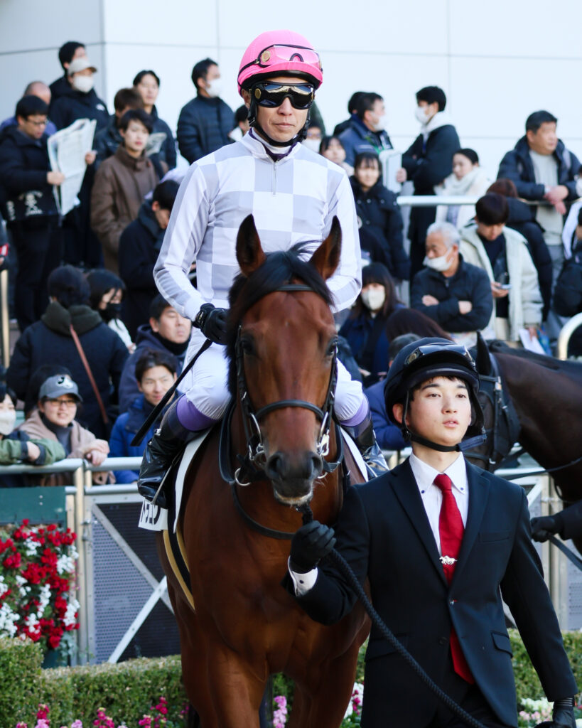 2024年12月28日中山競馬場・新馬戦のパドックで落ち着いた表情のドラゴンに騎乗する武豊騎手の写真