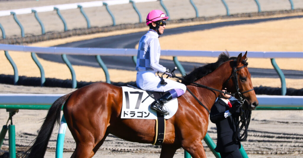 2024年12月28日中山競馬場・新馬戦で本馬場入場するドラゴンと騎乗する武豊騎手、落ち着いた様子でレースへ向かう一枚