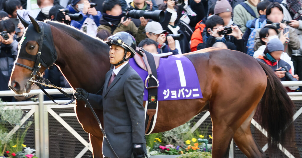 2024年12月28日ホープフルステークスのパドックで撮影された、厩舎関係者に引かれるジョバンニの姿。落ち着いた雰囲気が伝わる1枚