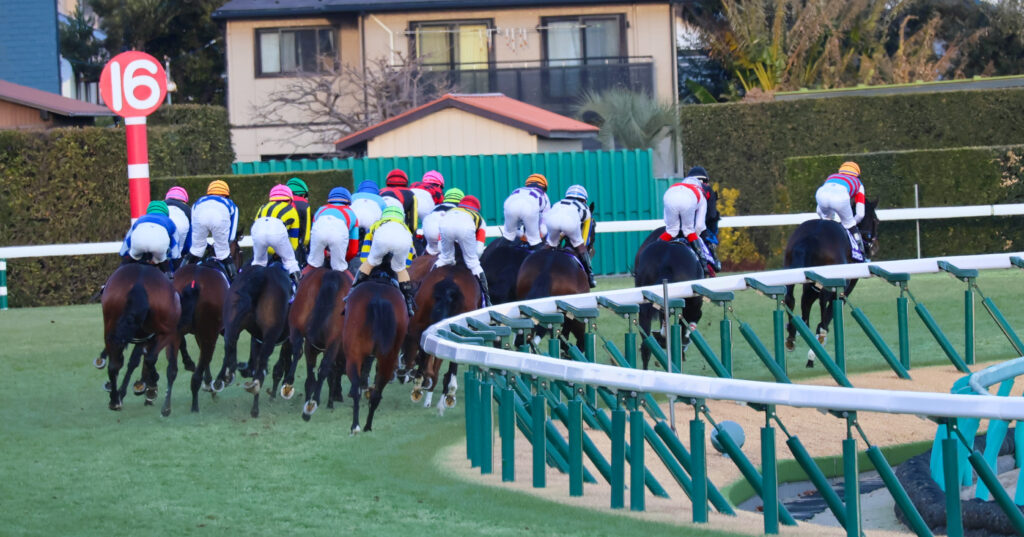 2024年12月28日ホープフルステークス（G1）1コーナー、中山競馬場で繰り広げられる序盤のポジション争いと駆け引きのシーン