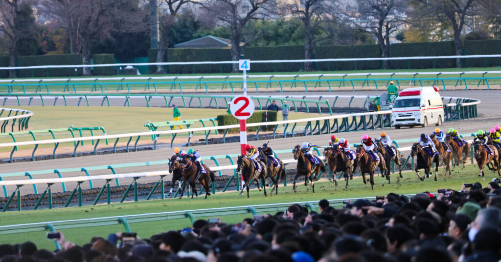2024年12月28日ホープフルステークス（G1）ゴール前200m、中山競馬場の名物坂を駆け上がる若駒たちの激闘シーン