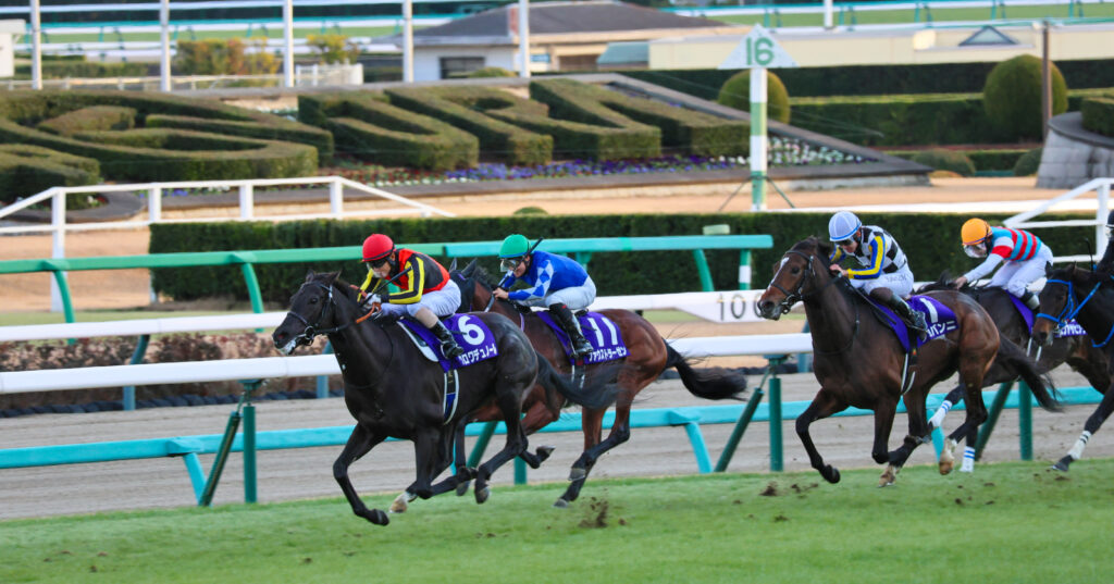 2024年12月28日ホープフルステークス（G1）で鋭く抜け出し勝利へ向かうクロワデュノールのゴール前写真。中山競馬場で撮影