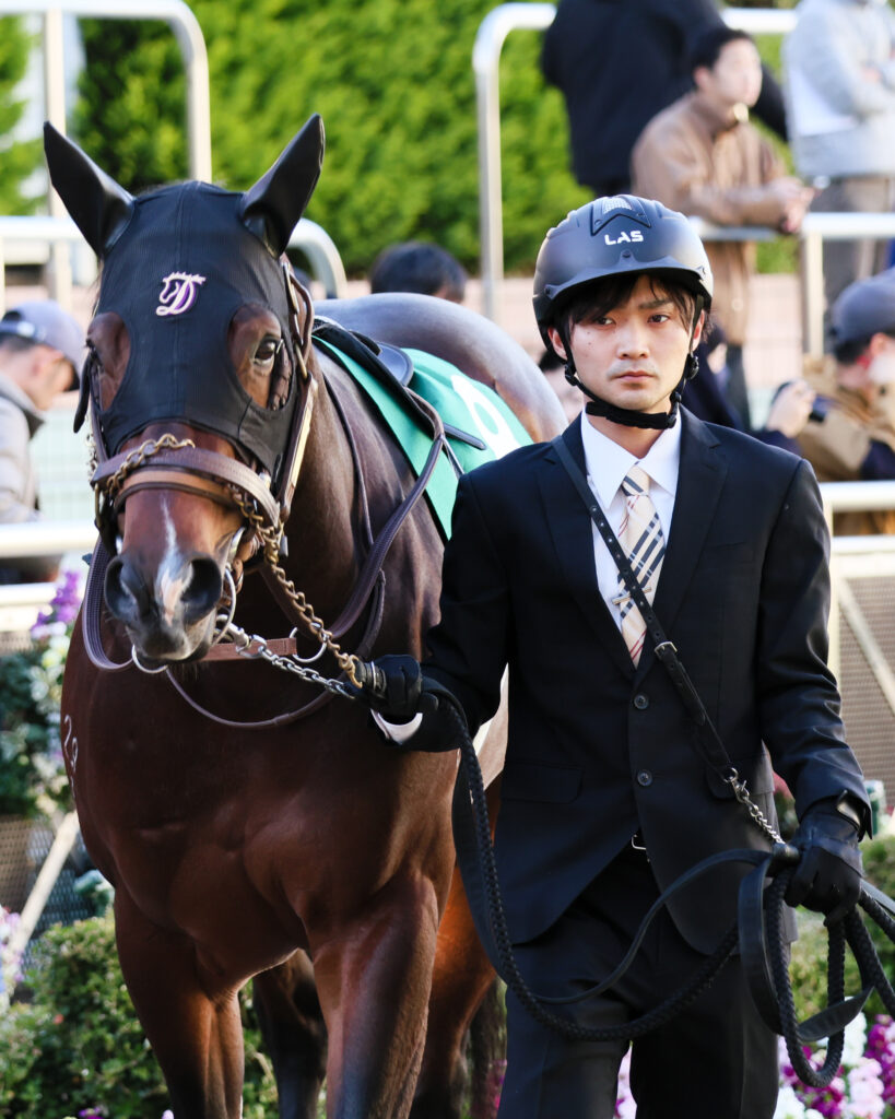 2024年12月8日中山競馬場・カペラステークスのパドックで撮影された、鋭い眼差しのインビンシブルパパの写真