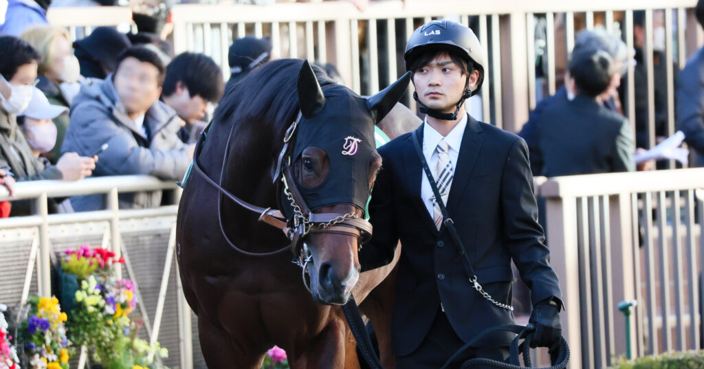 2024年12月8日中山競馬場・カペラステークスのパドックで、厩舎関係者に引かれながら甘えるような仕草を見せるインビンシブルパパ