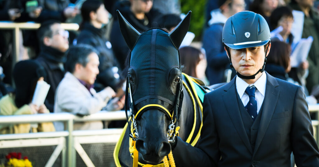 2024年12月8日カペラステークスのパドックで、厩舎関係者に引かれながら歩くクロジシジョー。正面から捉えた一枚で、瞳に宿る光が印象的