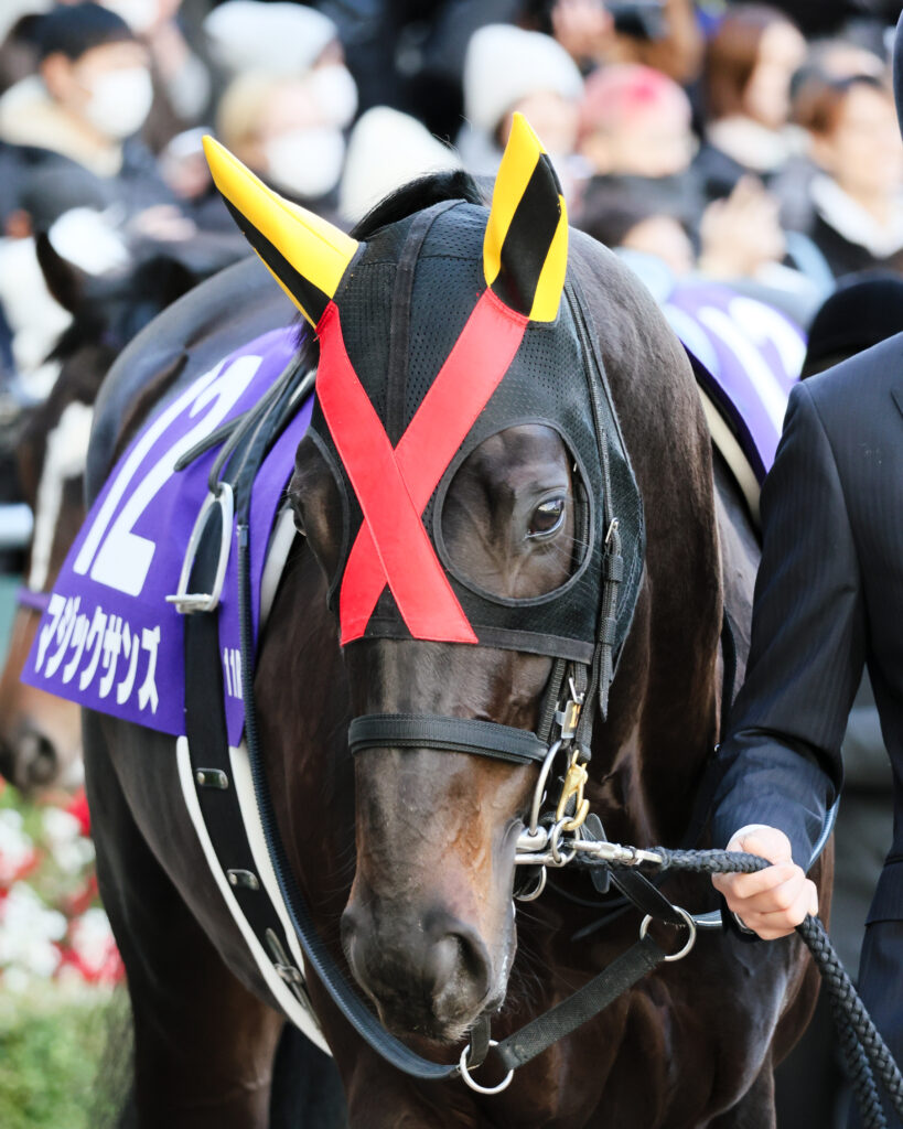 2024年12月28日中山競馬場・ホープフルステークスのパドックで撮影されたマジックサンズの写真。クラシック戦線へ向けて注目を集めた1頭