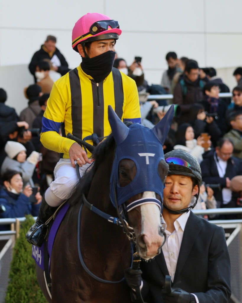 2024年ホープフルステークスのパドック、戸崎圭太騎手騎乗のマスカレードボール（中山競馬場）