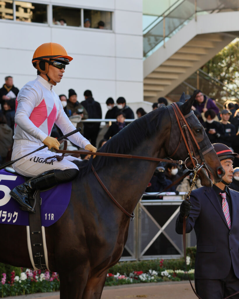 2024年ホープフルステークスのパドック、川田将雅騎手が騎乗するピコチャンブラックの様子（中山競馬場）