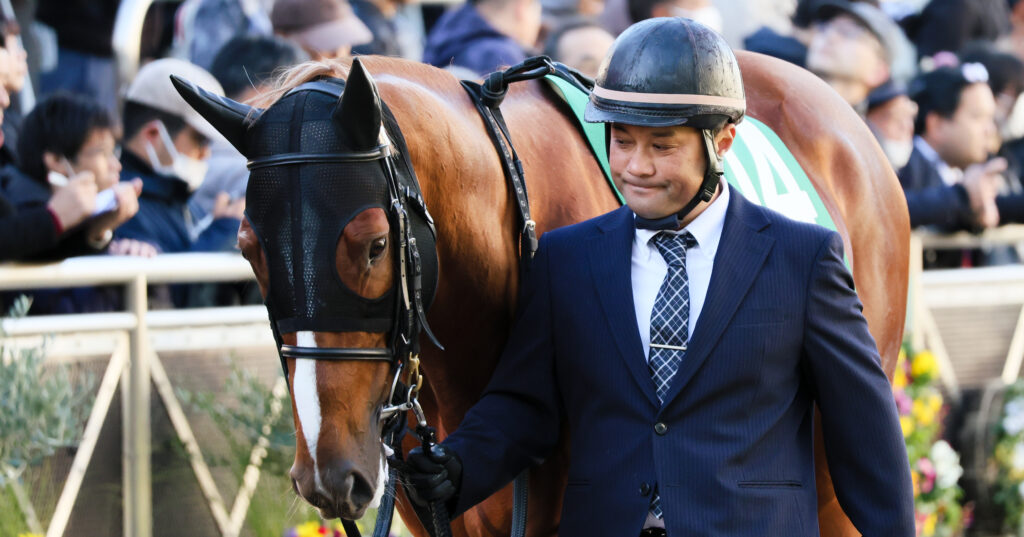 落ち着いた表情でパドックを周回するサンライズアムール。厩舎関係者に引かれての一コマ