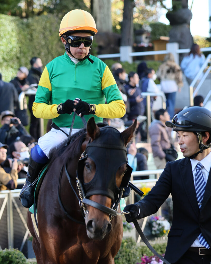 2024年12月8日カペラステークスのパドックでのスズカコテキタイと岩田康誠騎手。中山競馬場でのレース直前の様子を写した一枚