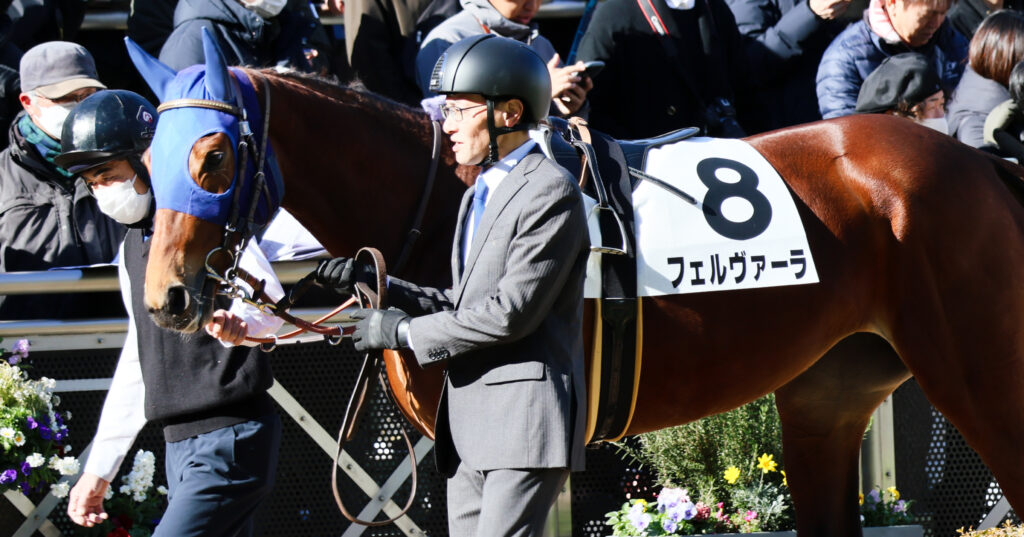 2024年12月28日中山競馬場・新馬戦のパドックで落ち着いた表情を見せるフェルヴァーラの姿