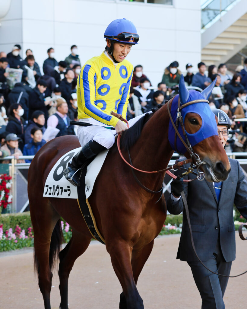2024年12月28日中山競馬場・メイクデビュー中山2歳新馬のパドックで周回するフェルヴァーラと鞍上の菅原明良騎手の姿