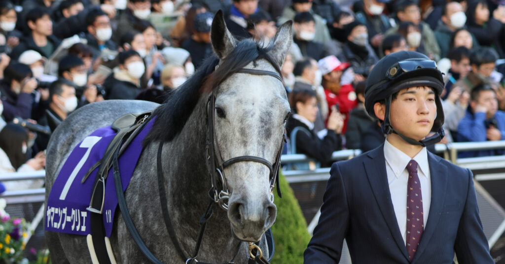 ホープフルステークスのパドックを歩くヤマニンブークリエ。厩舎関係者に引かれ、あどけない表情を見せるかわいい一枚（2024年12月28日・中山競馬場）