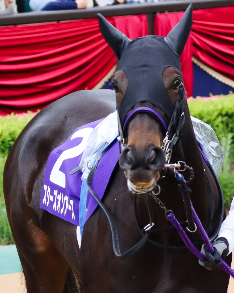 2023年5月14日東京競馬場・ヴィクトリアマイルのパドックで見せた、二冠牝馬スターズオンアースのお茶目な表情