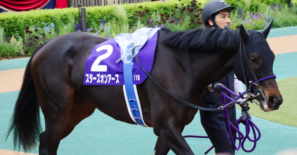2023年ヴィクトリアマイルのパドック風景。東京競馬場で存在感を放つ二冠牝馬スターズオンアースの写真