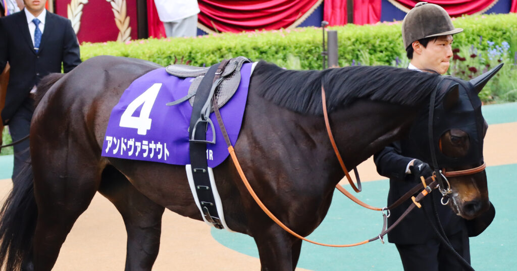 2023年5月14日、東京競馬場・ヴィクトリアマイルのパドックをゆったりと周回するアンドヴァラナウトの姿